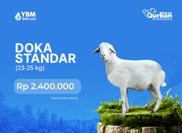 Doka Standard (23-25 kg)