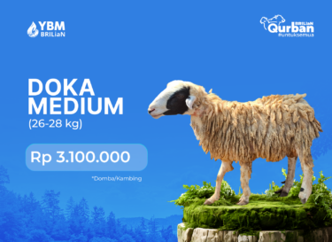 Doka Medium (26-28 kg)