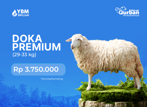 Doka Premium (29-33 kg)