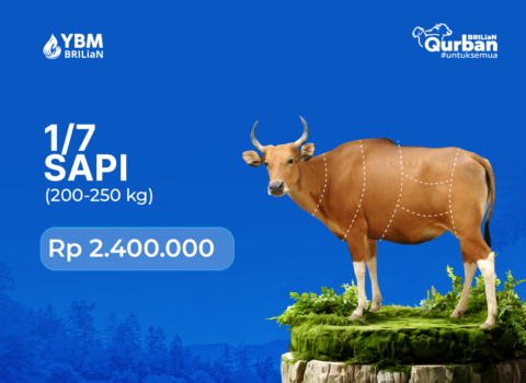 1/7 Sapi (200-250 kg)