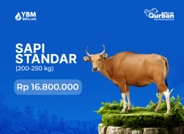 Sapi Standard (200–250 kg)