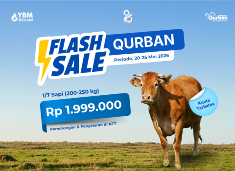 1/7 Sapi Flash Sale